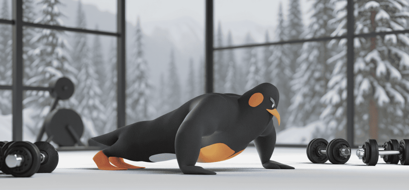 Austral Fitness - Centro de entrenamiento