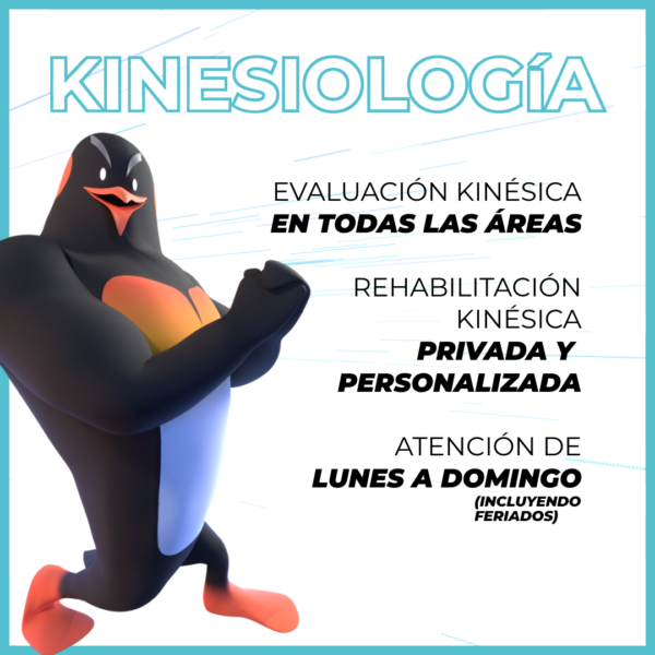 Kinesiología - Austral Fitness